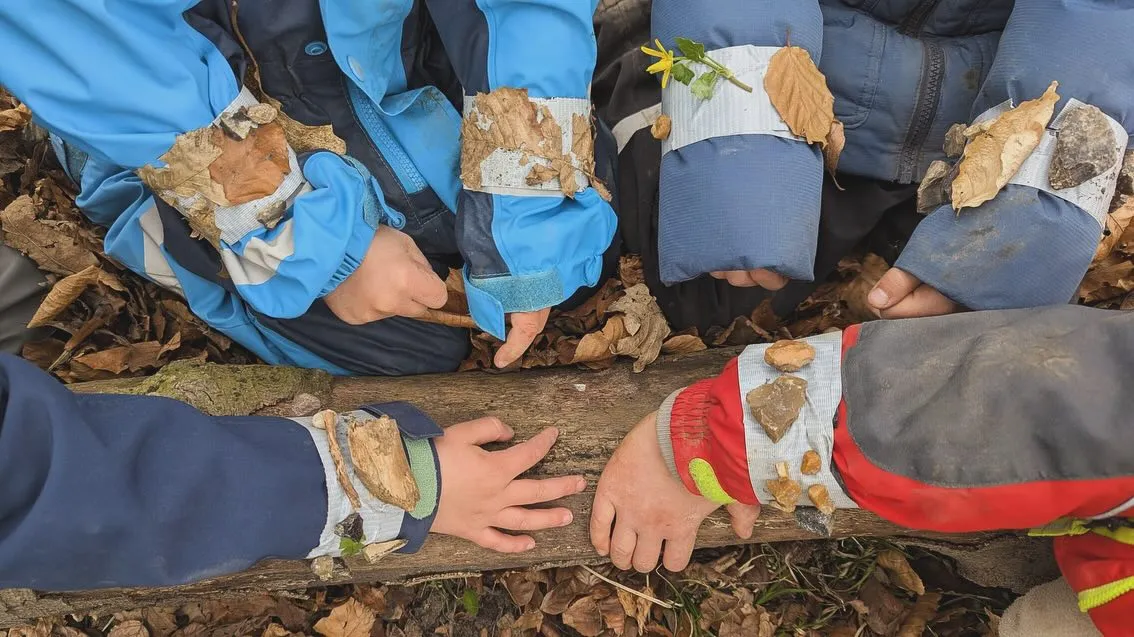 Schätze im Wald entdecken