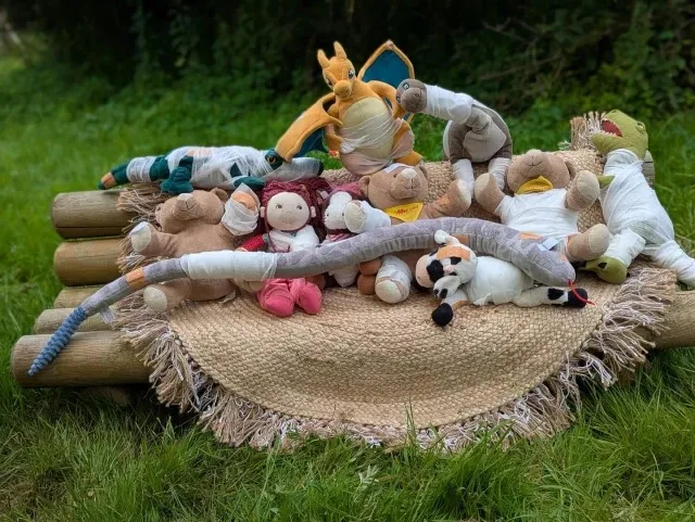 Erste-Hilfe Lernen an Kuscheltieren