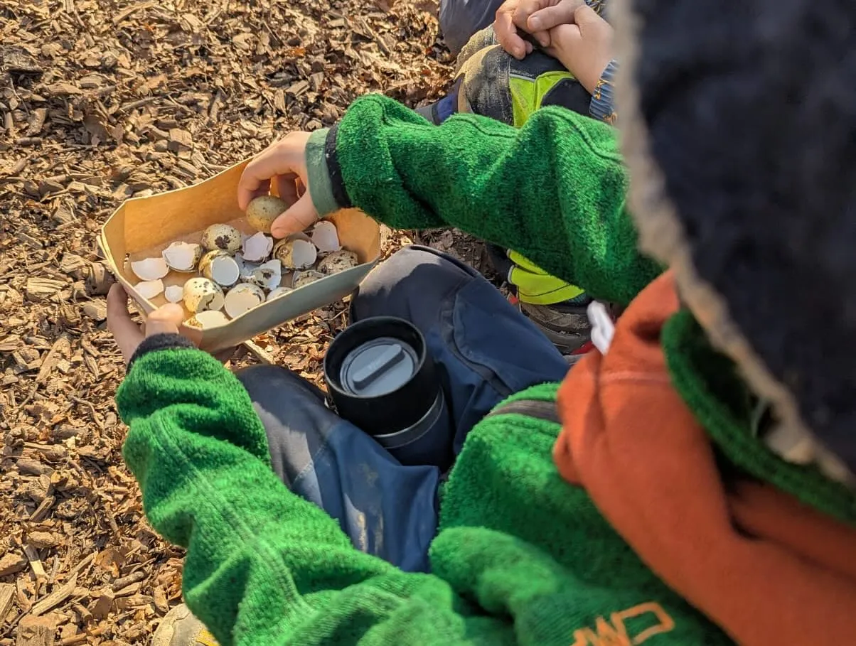 Entdecken von Naturmaterialien im Waldkindergarten Muckestutz