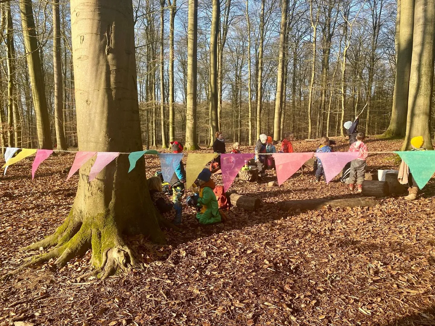 Waldkindergarten Muckestutz Banner
