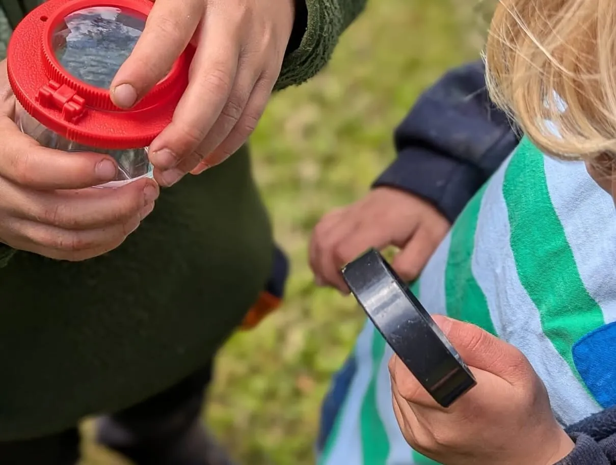 Kinder forschen im Wald in Bad Oldesloe
