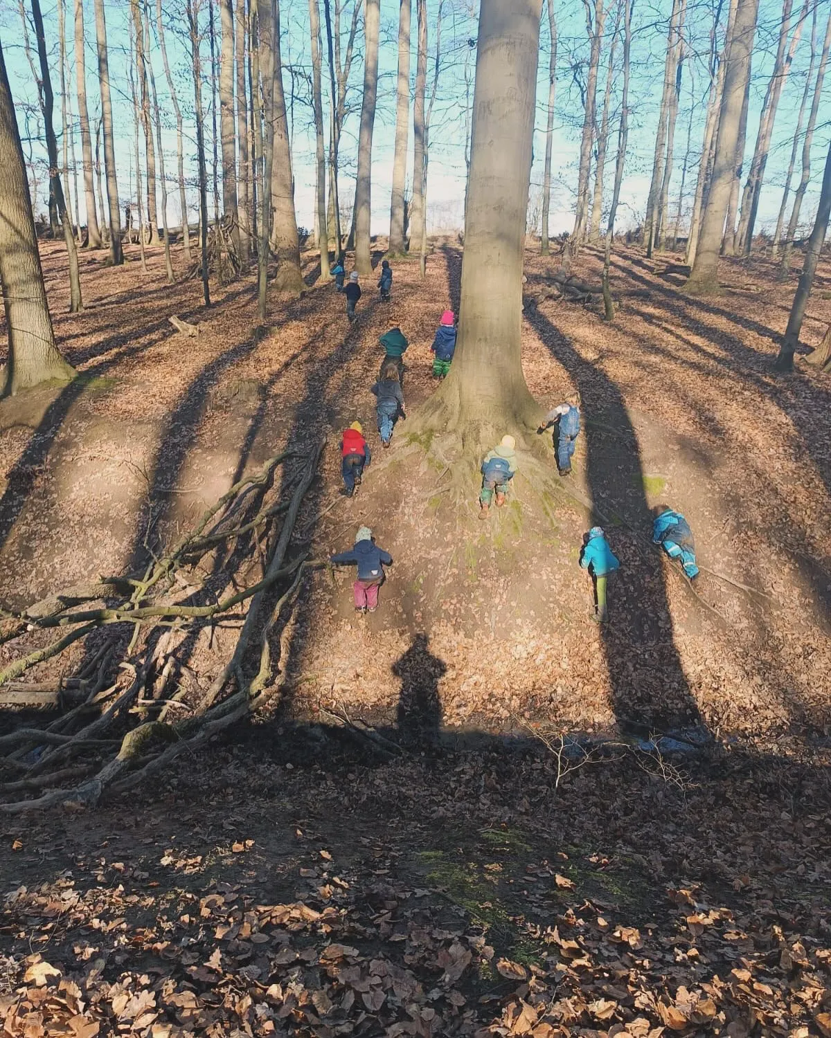 Kinder klettern im Wald im Kneeden