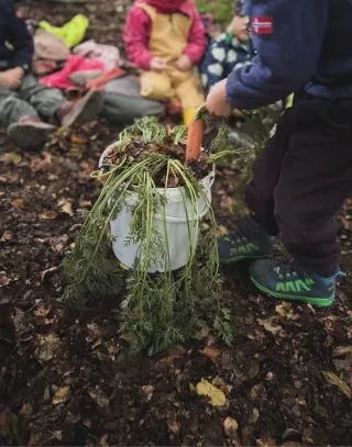 Kind hält eine selbst gezogene Möhre