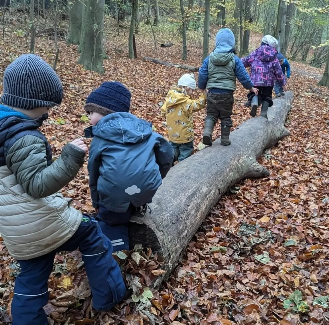 Kinder balancieren über Baum im Kindergarten