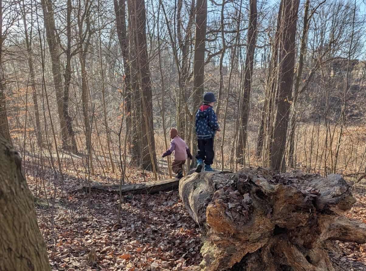 Waldkindergarten Muckestutz