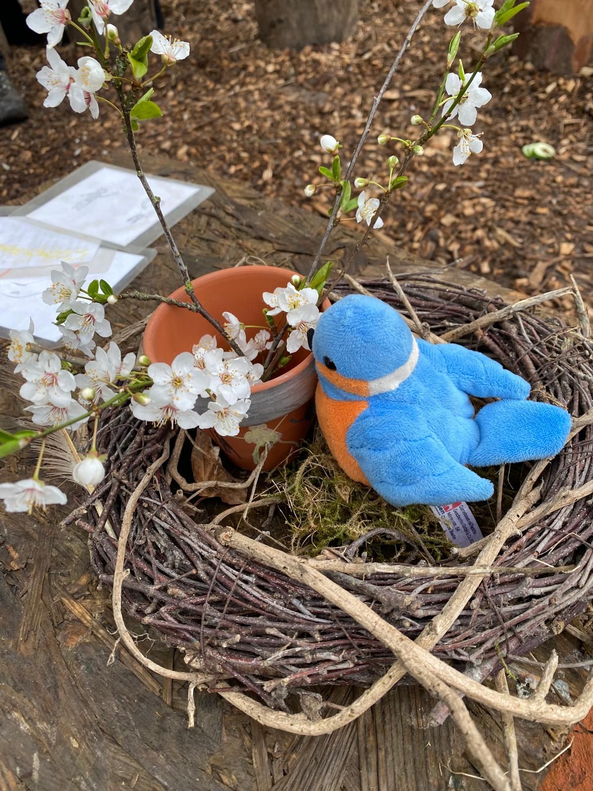 Waldkindergarten Muckestutz